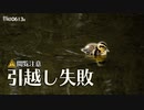 0613B【カルガモ親子 雛鳥の悲劇】引越し中に餌やり、落ちてはぐれる。捕食するキセキレイ。カワセミ。雛混ぜ母違い。蛇の水死体閲覧注意　コンデジ野鳥撮影　#身近な生き物語　#カルガモ親子　#セキレイ