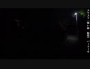 スケスト（怖い話の配信）　アーカイブpart16(2021/5/30放送　前編）