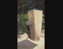 【野良猫】野良猫を水攻め？【猫動画】