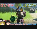 【ゆっくり実況】はじめてのゼルダはじめてのブレワイ part89【ゼルダの伝説ブレスオブザワイルド】