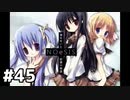 NOeSIS-嘘を吐いた記憶の物語-【ゲーム実況】　＃45
