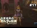 【ゼルダの伝説ブレスオブザワイルド】めちゃモテシーカー族【実況プレイ】#11