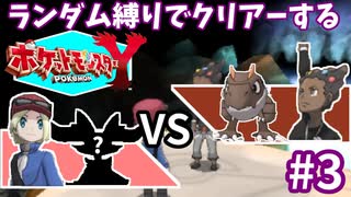 ランダム縛りでクリアーするポケモンY Part3