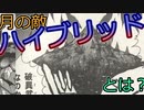 SDガンダムヒーローズ感想・考察#9(12話分)