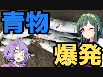 【1080p対応】東北ずん子のもっとドタバタ釣行記 釣りまくれ、日本海サーフ青物祭り！