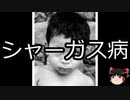 【ゆっくり朗読】ゆっくりさんと不思議な病気 その375