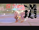 【ポケモン剣盾】潰えぬ砦と探求の道【ウインディ】