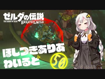 【ゼルダの伝説BotW】ほしつきありあわいるどPart50【VOICeVI実況】