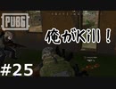 おとあにが楽しむPUBG ＃２５