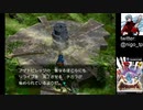 【実況】ポケモンコロシアム part10
