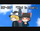 SCPを自分なりに説明してみる031.5【What is Love?】