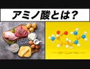【アミノ酸とは？】たんぱく質とアミノ酸の関係【ビーレジェンド プロテイン】
