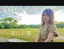 【蒼井しい】花に亡霊【踊ってみた】