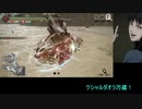 【MHRise】集会所7オロミドロ 盾斧 03’44”53 TAwikiルール