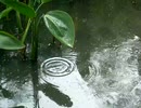 続・好きな音楽テーマ別うｐ・今日編