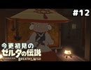 【ゼルダの伝説ブレスオブザワイルド】100年ぶりの再会らしいです【実況プレイ】#12
