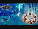 【MHR】二人でグダグダハンター生活【Part25】
