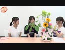 【アーカイヴ】日笠・日高のお日様ぐみ！　第３６回