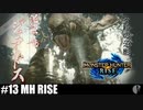 4人実況［ジュアトドス討伐］三太刀でいくよ！［モンハンライズ］【NowRooK/ノールーク】