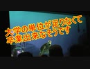 大学の単位が足りなくて卒業出来なそうです【タートルトーク】東京ディズニーシー
