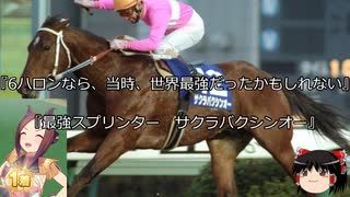 【競馬】ゆっくりさんと未来に語り継ぎたい名馬たち その031【ゆっくり朗読】