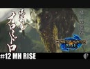 4人実況［オロミドロ討伐］本作イチのクソモンス［モンハンライズ］【NowRooK/ノールーク】