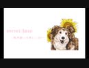 【サディ】secret base-虹を渡った愛しい君へ-【替え歌詞】