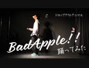 【ドロップアウトアニマル】Bad Apple!! 踊ってみた【ボーロ×赤色105号】