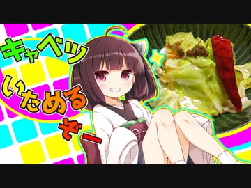 キャベツいためるぞー【第二回スパイス祭】