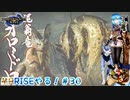 【実況】MHRISEやる！【30】
