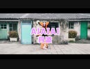 【Fursuit Dance】AIAIAI   丹波 / Dumbo  ✧*｡٩(ˊᗜˋ*)و✧*｡