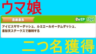 【ウマ娘】二つ名獲得「直線番長」