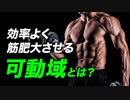 【筋トレ】効率よく筋肥大させるための「可動域」について【ビーレジェンド プロテイン】