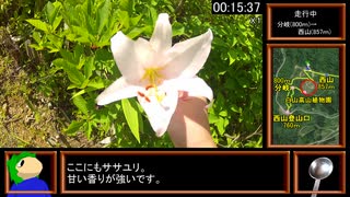 【リアル登山アタック】西山・白山高山植物園攻略　00:18:34