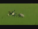 依頼を受けて、セグロヤギを岩で狩ってみた