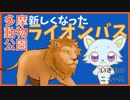 【生き物NEWS】多摩動物公園「ライオンバス」いよいよ運行再開！