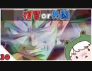 【クロノ・トリガー＊実況】平成最高峰のRPGで時をかける！BC.30