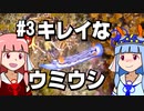 【琴葉姉妹の磯遊び】#3キレイなウミウシ【VOICEROID解説】