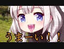 浮世絵茜はひた走る 高原編 part2 青山高原