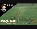【実況】マスターモードでやりこみサバイバル生活！！　Part135【ゼルダの伝説　BotW】