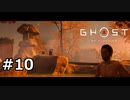 #10.アウトドア・オブ・ツシマ【GHOST OF TSUSHIMA】(畑)
