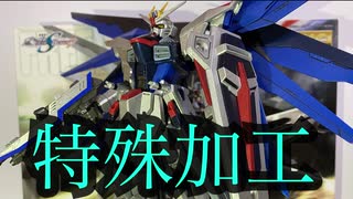 【至高の輝き！】MGフリーダムガンダム エクストラフィニッシュバージョン【ガンプラ】