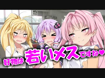 茜「兄様の好物は…若い牝ですね❤」マキ/ゆかり「！？」❤3～4歳くらいの若い牝が一番好きな肉食系男子だということを、友達に暴露されてしまう兄様❤琴葉姉妹と同棲しようよ❤兄様と可愛い義妹たちとの物語❤