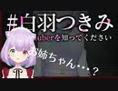 消えたVtuberが他人とは思えない【消えたVtuberを知ってください】実況プレイ