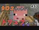 【Minecraft】鉱石トリュフ集め　Part53【Skyfactory4実況プレイ】