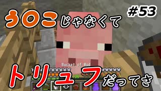 【Minecraft】鉱石トリュフ集め　Part53【Skyfactory4実況プレイ】