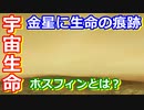 【ゆっくり解説】金星に生物の痕跡？　金星からホスフィンが検出されたことを解説