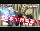【広大な空と大地を冒険】ゼノブレイド・DE【初見実況】Part22