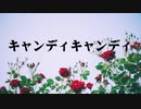 キャンディキャンディ/アニメ主題歌 Candy Candy【ボーカルカヴァー】