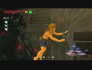 依頼を受けて、ハイラル城でリンクさんの下半身をブランブランさせてみた